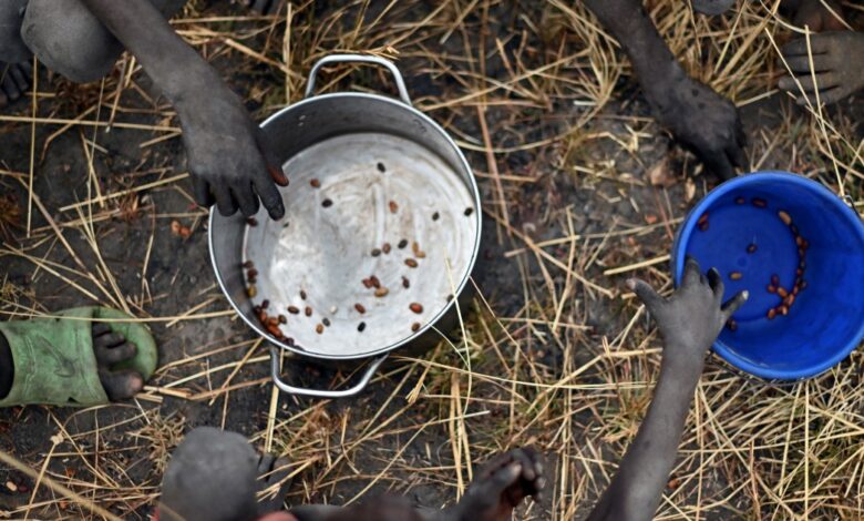 More than 7.7 million facing food crisis in South Sudan