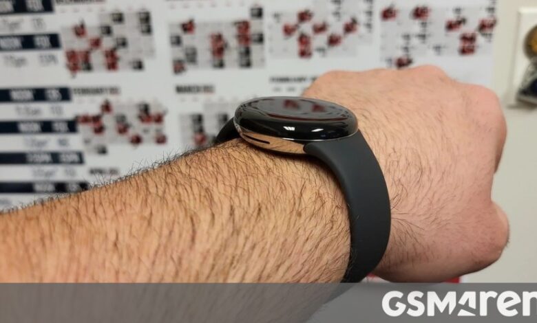 Google Pixel Watch’s battery size leaks