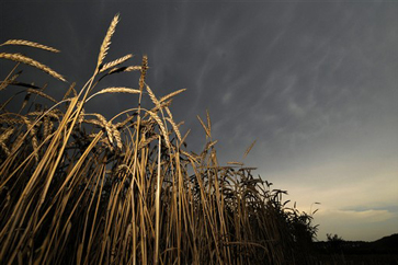 UN had ‘constructive’ talks in Moscow on Russian grain exports