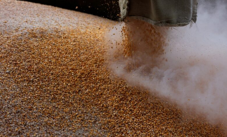 Is Russia stealing and selling grain from Ukraine?