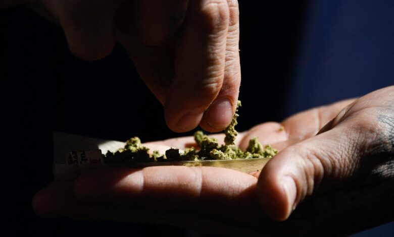 Recreational Cannabis Not As Harmless As People Think, Study Suggests