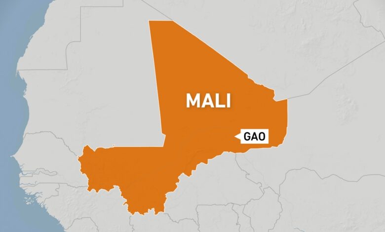 Two UN peacekeepers dead, 5 others wounded in Mali attack