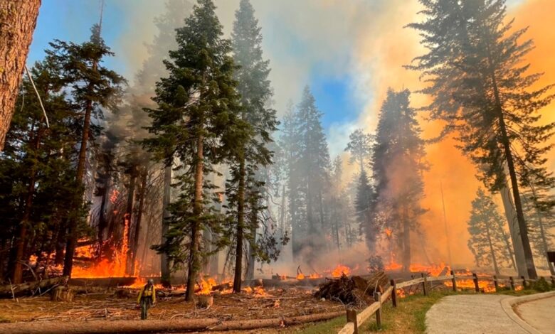 Wildfire nears famous site in California’s Yosemite National Park