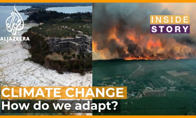 How should we adapt to climate change?