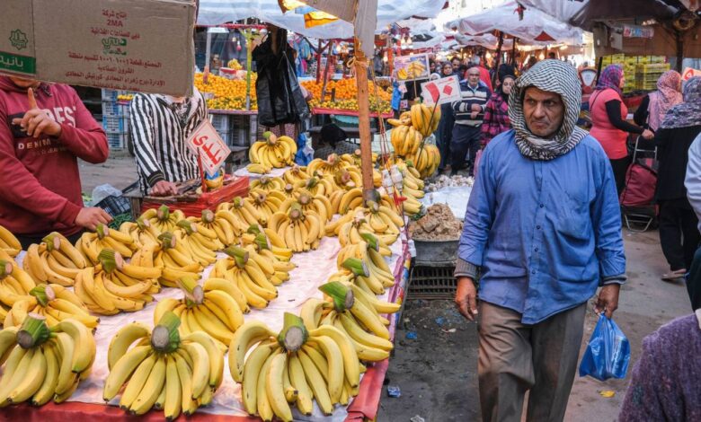 Egypt to set price ranges for food as inflation surges