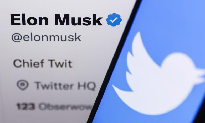 Twitter Will Sell Coveted Blue Checkmark For $8 A Month, Musk Says—But Benefits Still Unclear