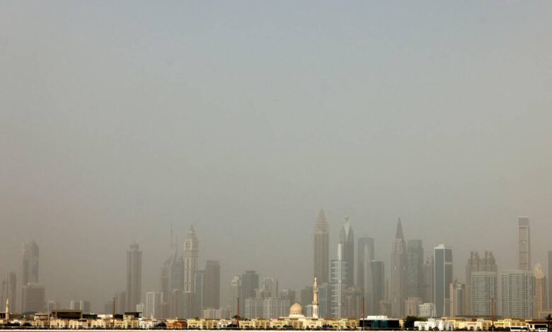 Public Prosecution investigates company chief executive over breach of Emiratisation rules
