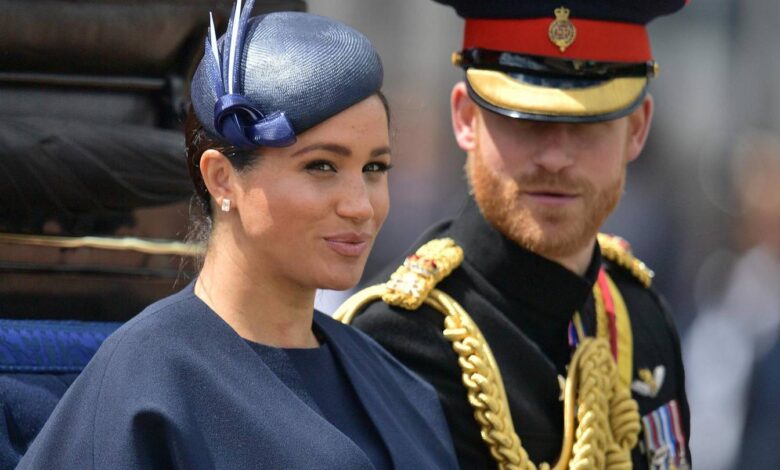 Prince Harry and Meghan urged to give up royal titles in Netflix series backlash