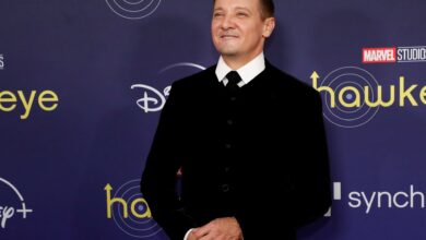 Actor Jeremy Renner ‘critical but stable’ after snowplough mishap