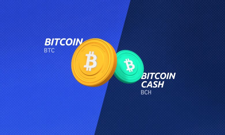 Bitcoin Cash and its Larger Block Size