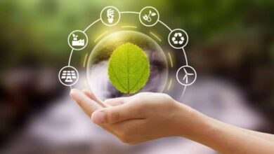 Going Green How Companies are Adopting Sustainable Practices