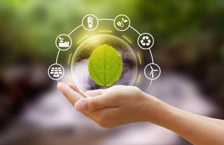 Going Green How Companies are Adopting Sustainable Practices