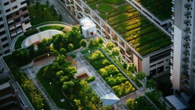 The Benefits of Green Infrastructure for Climate Adaptation and Mitigation