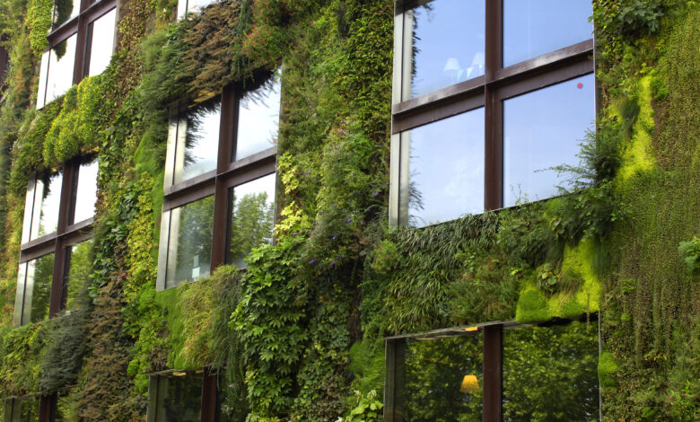The Benefits of Green Roofs and Walls for Urban Environments