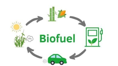 The Potential of Biofuels for Sustainable Energy Production