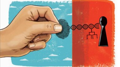 The Promise of Gene Editing and the Ethical Implications of Genetic Manipulation