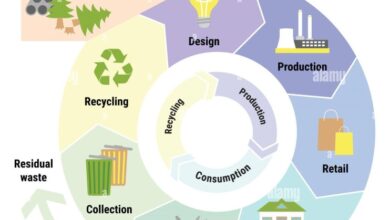 The Role of the Circular Economy in Addressing the Climate Crisis
