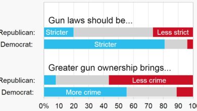 The impact of gun control policies on politics and society
