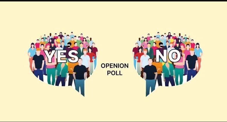 The role of public opinion and polling in politics and policy-making