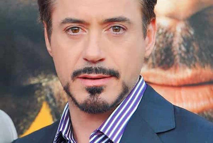 The life and career of Robert Downey Jr A Biography