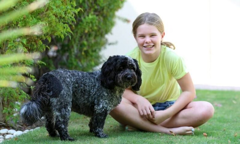 How a 10-year-old in Dubai is helping stray animals with her home-made dog biscuits