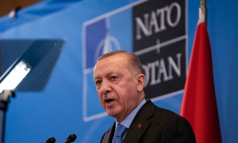 Turkish parliament’s foreign affairs commission approves Sweden’s NATO bid