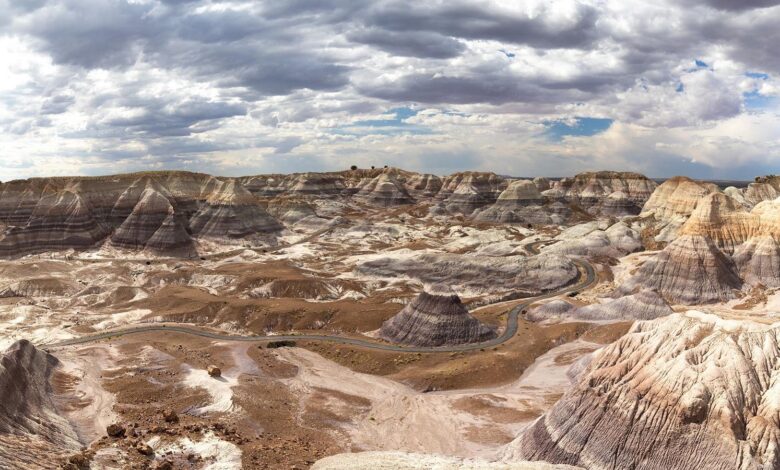Petrified Forest National Park: 10 Things To Know Before You Go