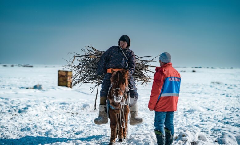 Harsh Mongolian winter leaves 4.7m animals dead; Red Cross issues appeal
