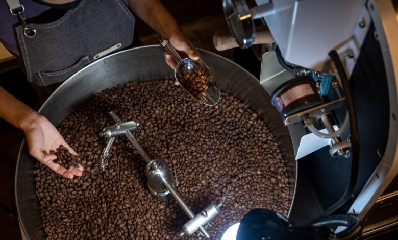 Coffee’s in danger: Can Vietnam’s Robusta save it from climate change?