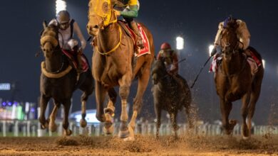 Dubai World Cup 2024: When is it, which horses are racing and are tickets still available?