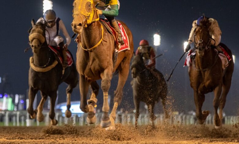 Dubai World Cup 2024: When is it, which horses are racing and are tickets still available?