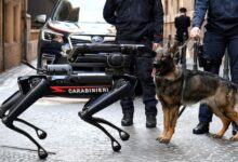 Today’s best photos: From the Carabinieri’s robotic dog to a pricey white buffalo