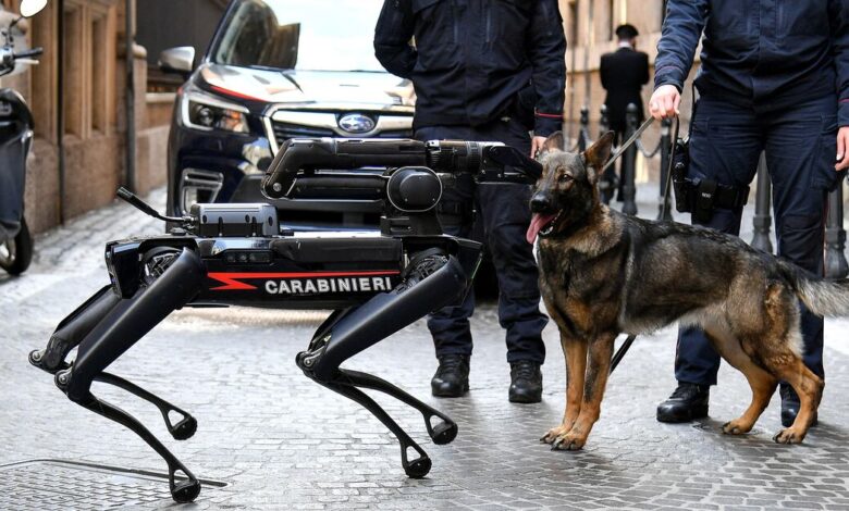 Today’s best photos: From the Carabinieri’s robotic dog to a pricey white buffalo