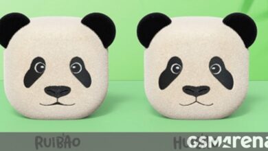 Samsung Galaxy Buds2 Pro Twin Bao Edition launched