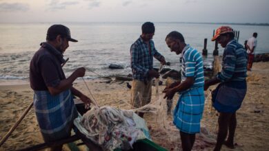 The inexplicable rise of kidney disease in Sri Lanka’s farming communities