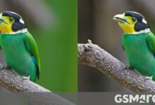 Google’s new JPEG image encoder offers higher quality and saves on size and bandwidth
