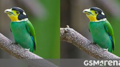 Google’s new JPEG image encoder offers higher quality and saves on size and bandwidth