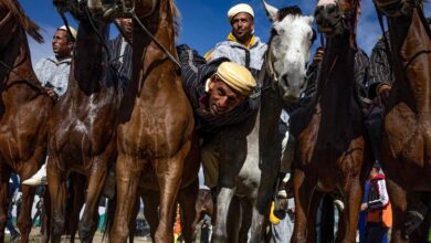 Today’s best photos: From Morocco’s traditional equestrian game to Cannes red carpet
