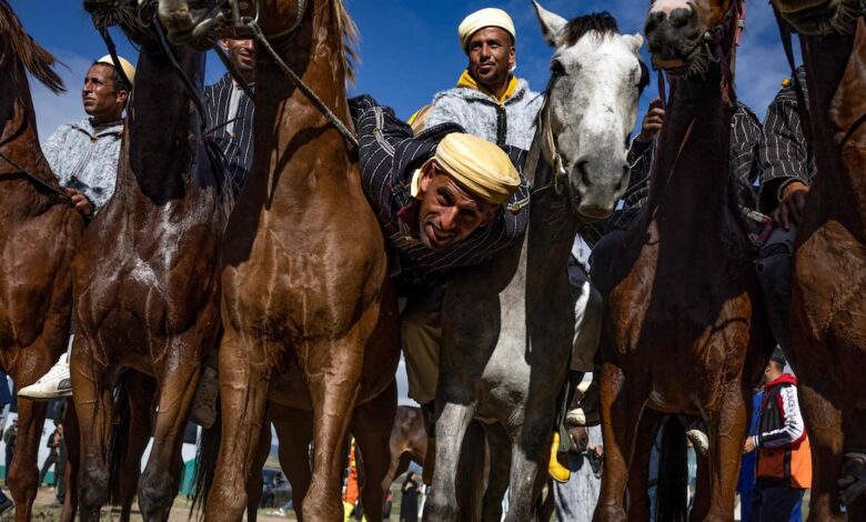 Today’s best photos: From Morocco’s traditional equestrian game to Cannes red carpet