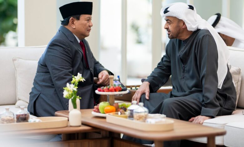 President Sheikh Mohamed holds talks with president-elect of Indonesia