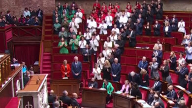 French MPs wear colours of Palestinian flag