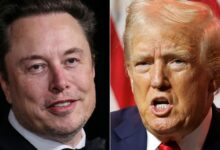 The right-wing lurch of X under Elon Musk