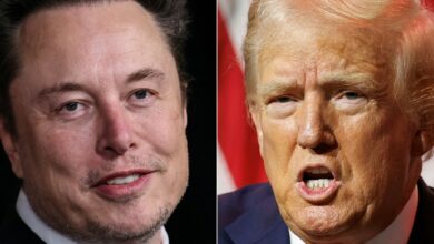 The right-wing lurch of X under Elon Musk