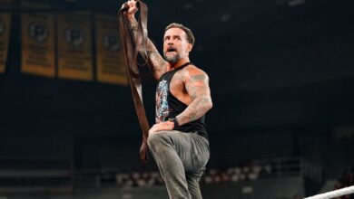 WWE Bash In Berlin 2024: CM Punk Winning And 5 Smart Booking Decisions