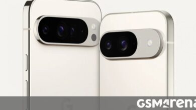 The Google Pixel 9 and Pixel 9 Pro XL are now available